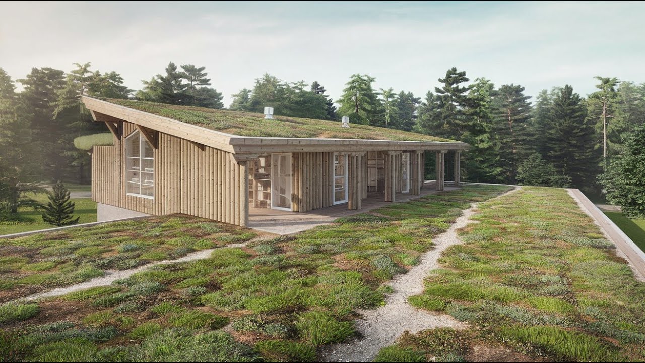 Sustainable Home Design: Beautiful, Green, and Future-Proof