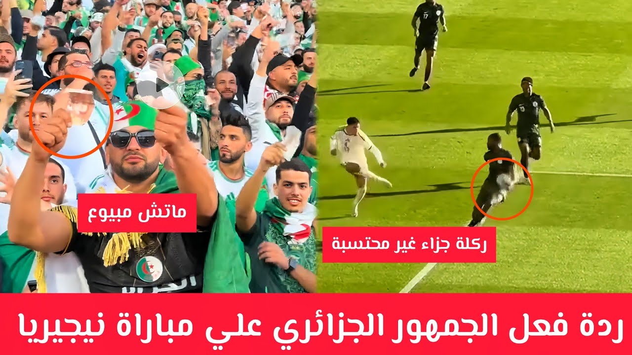ردود فعل مضحكة من الجمهور الجزائري بعد الخسارة قالك ماتش مبيوع 😂