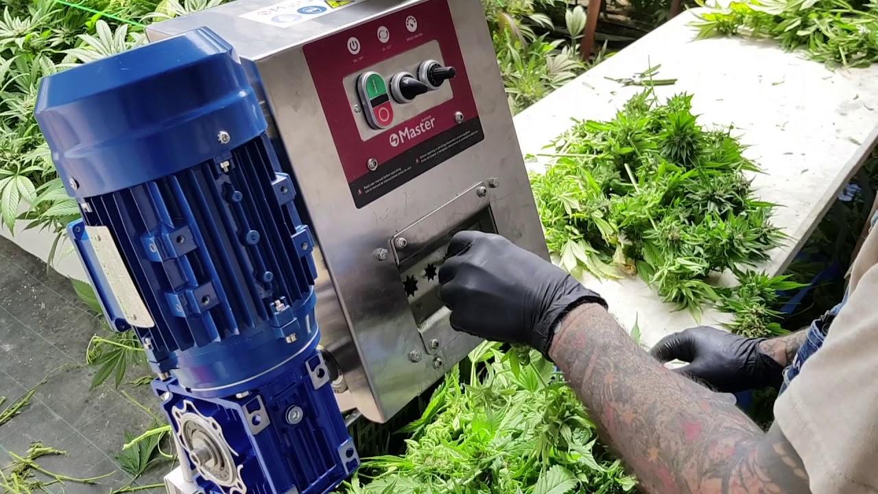 MB Bucker 500 | Discover best cannabis debudder on the market!