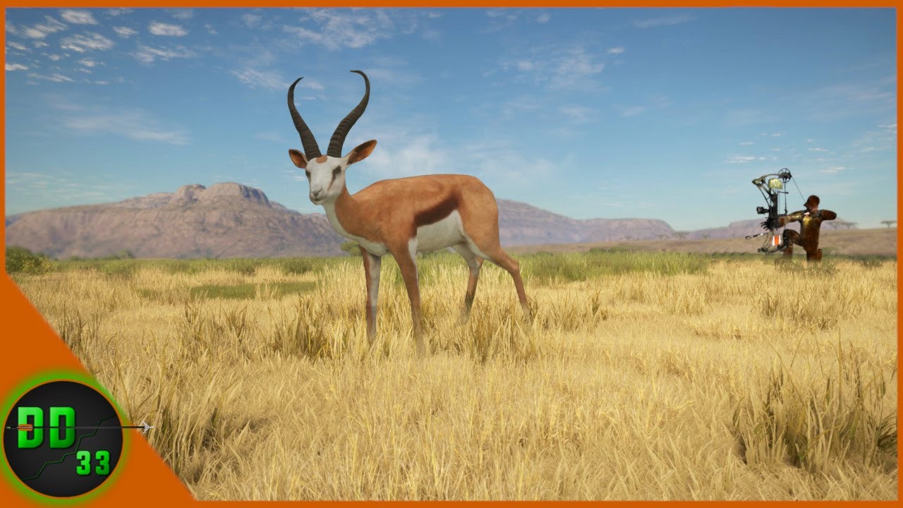 What An Amazing Way To Be Welcomed Back!! Call Of The Wild