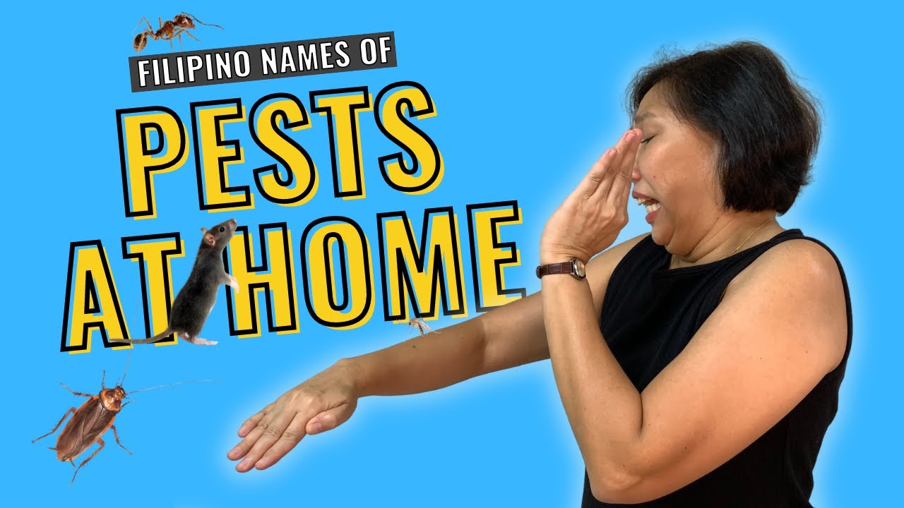 Pests at Home in Filipino
