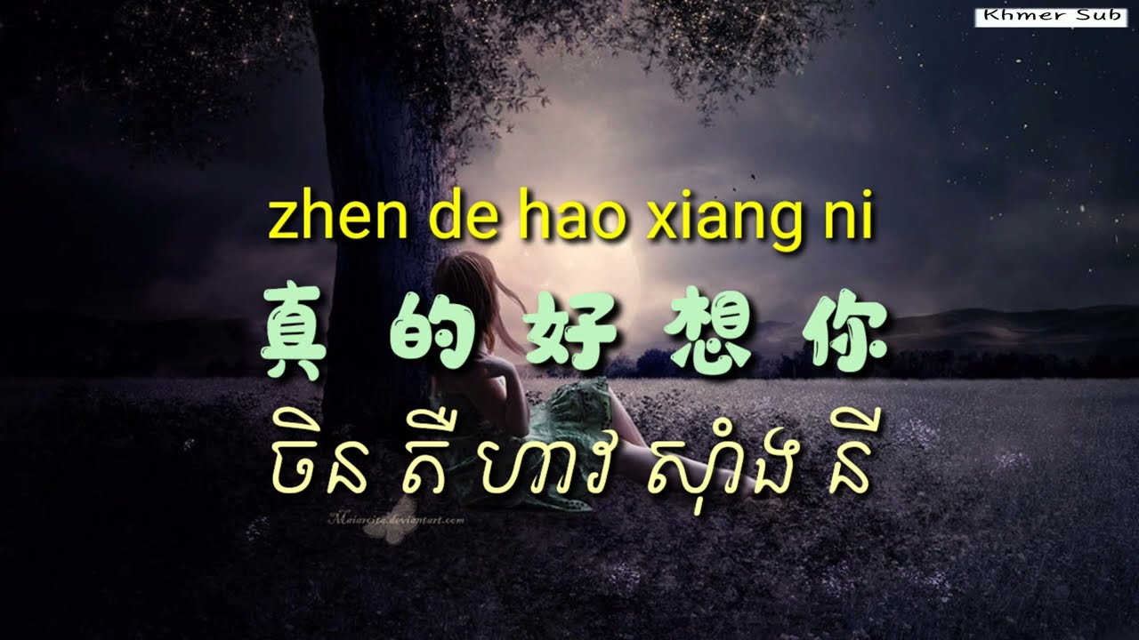 នឹក( បទចិនសុិងខ្មែរ) 真的好想你_ Khmer Sub