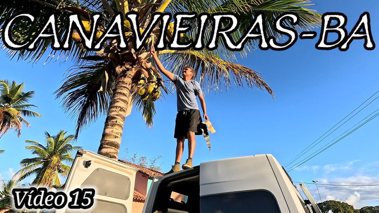 CANAVIEIRAS-BA A CIDADE QUE MAIS VIMOS COQUEIRO NA BAHIA.