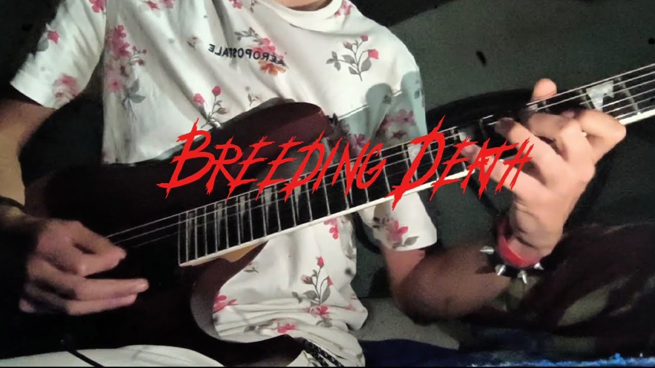 Breeding Death - Bloodbath (Guitar Cover) | Dreadveil Mirage