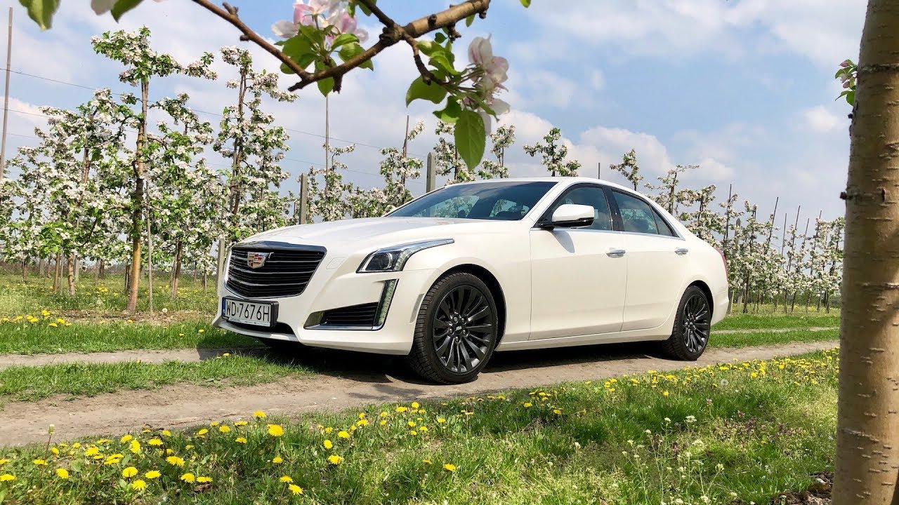 Cadillac CTS 2.0T test PL Pertyn Ględzi