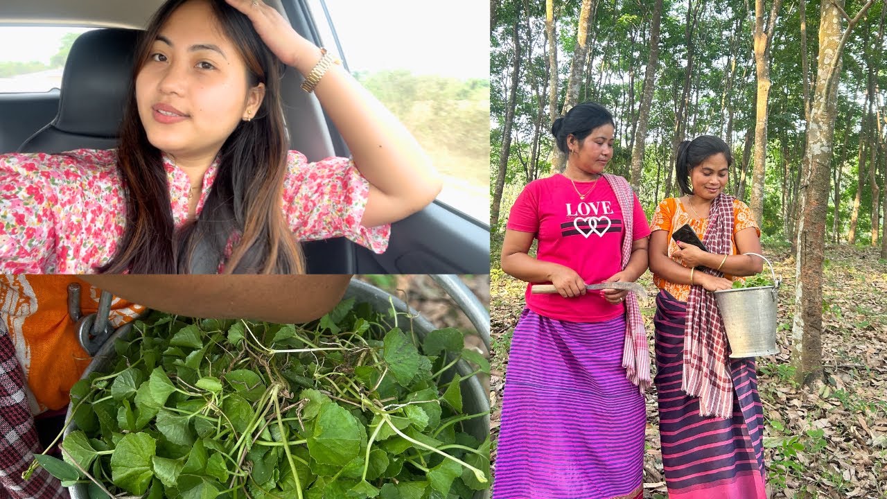 Para o thanglaimani chwng | Samsata  bo mansukha😍 | Rushna Debbarma