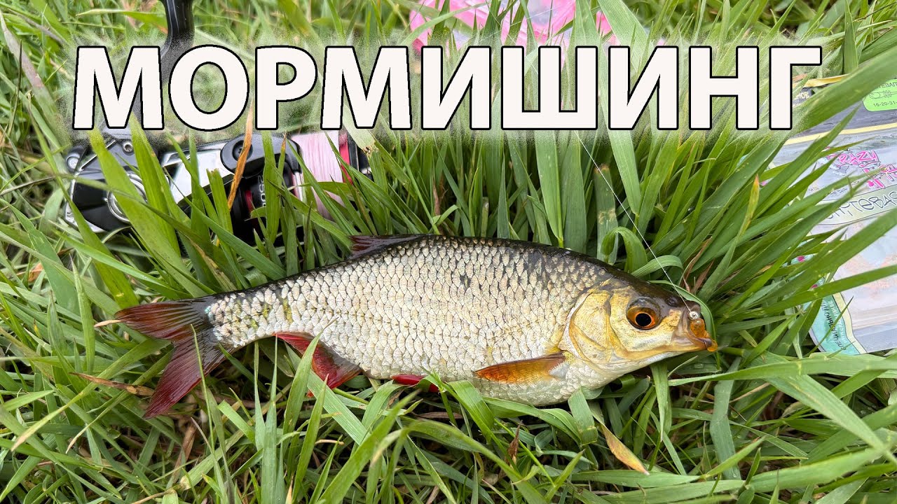 МОРМИШИНГ Біла риба на спінінг !! ПЕРШІ РЕЗУЛЬТАТИ РАЗОМ !! спінінг наноджиг рибалка на червонопірку