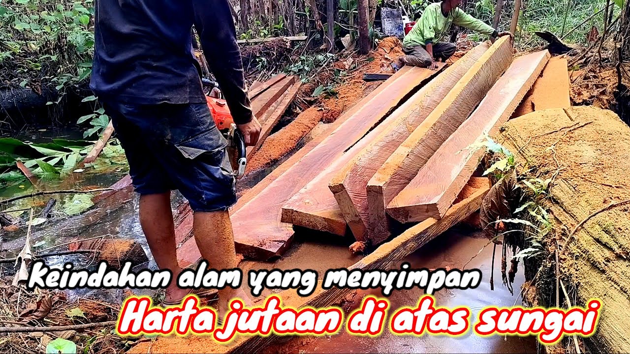 PART2 KAYU ULIN DI ATAS SUNGAI ‼️ KEINDAHAN ALAM YG TERLUPAKAN DI HUTAN KALIMANTAN