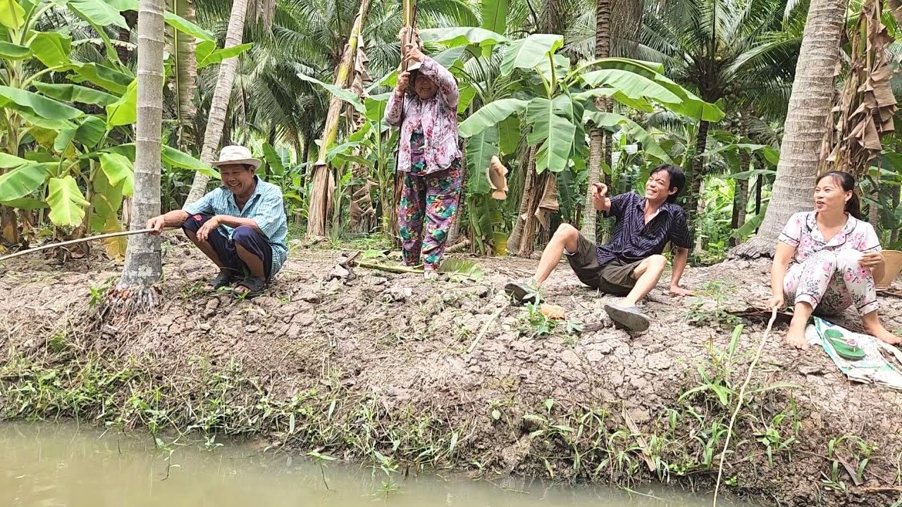 Thấy Phát Ham với Bầy Cá Rô Mề Cả Gia Đình Ra Mương Vườn Giựt Đã Tay | TKQ & Family T1739