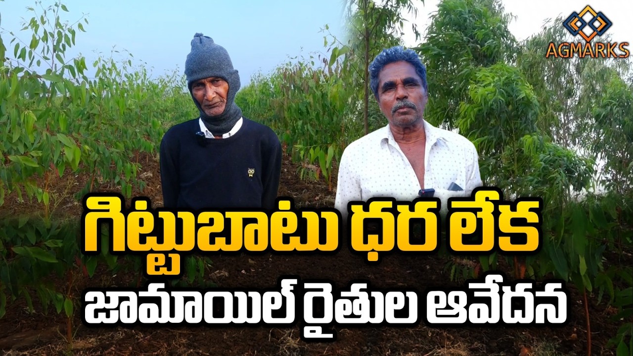 Jamail Tree Farmers Emotional Comments | Agmarks