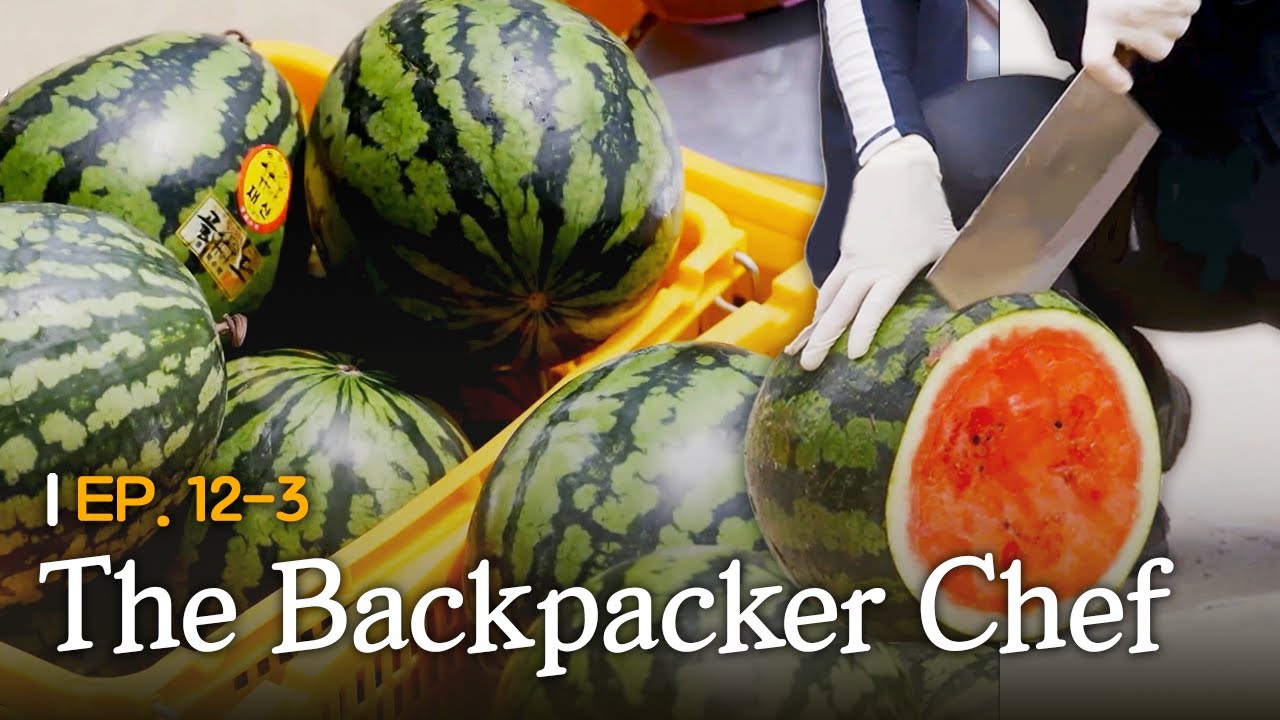 [K-Contents] A special treat for the elephants🍉 | The Backpacker Chef EP.12-3 #Engsub #Kreality