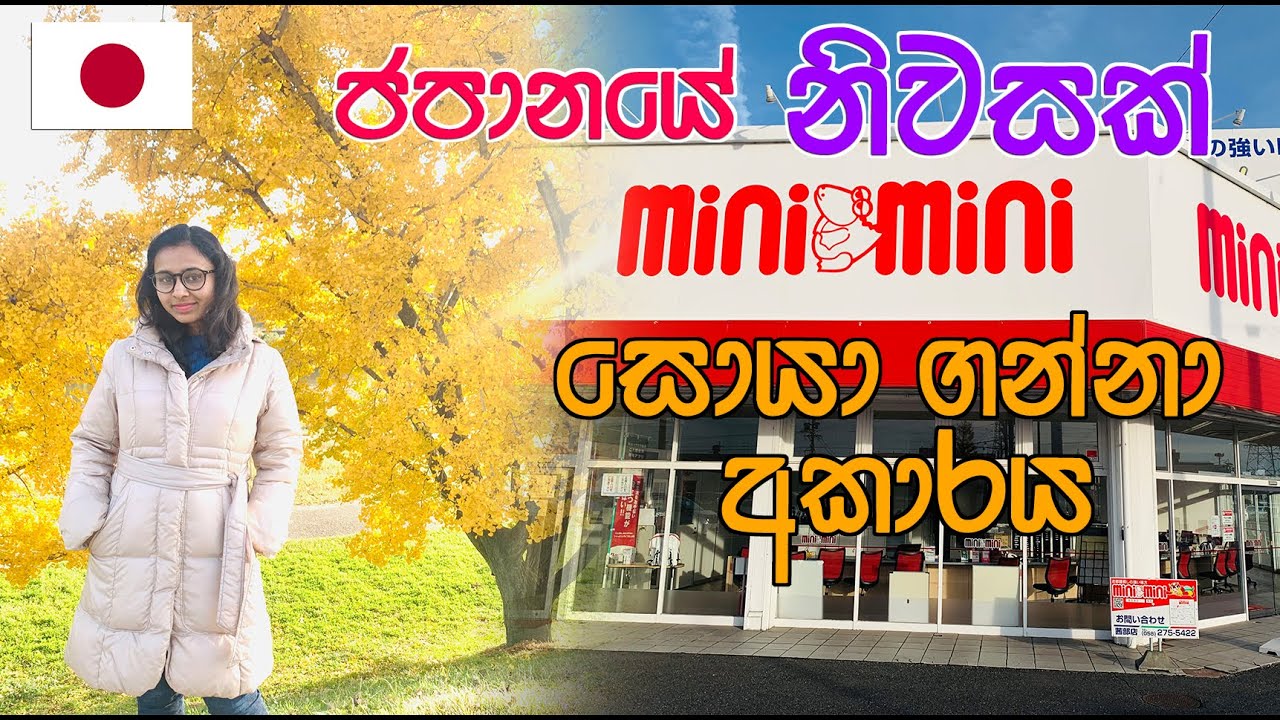 ජපානයේ නවාතැන් ගැනීමට නිවසක් සොයා ගන්න හැටි | How to Find Apartment /House Japan | LIFE IN JAPAN 🇯🇵