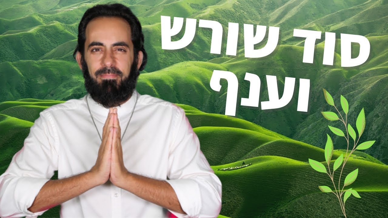 סוד שורש וענף - הלוואי וכל אדם היה לומד ומיישם את שיעור זה | אריאל ברג