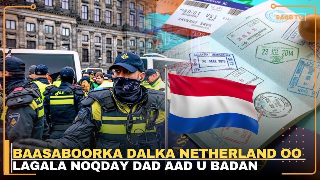 Maxay dawladda Netherlands dhalashada ugala noqotay ajaaniibta?.