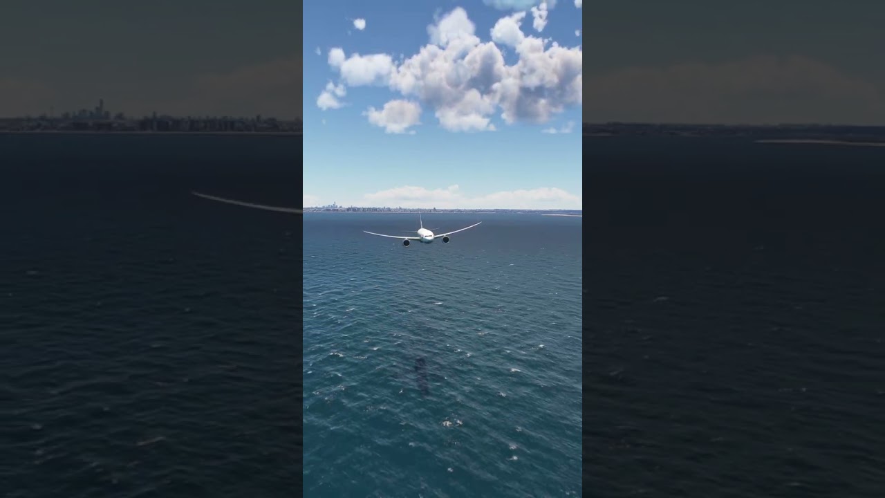 How to Handle an Emergency Landing Like a Pro