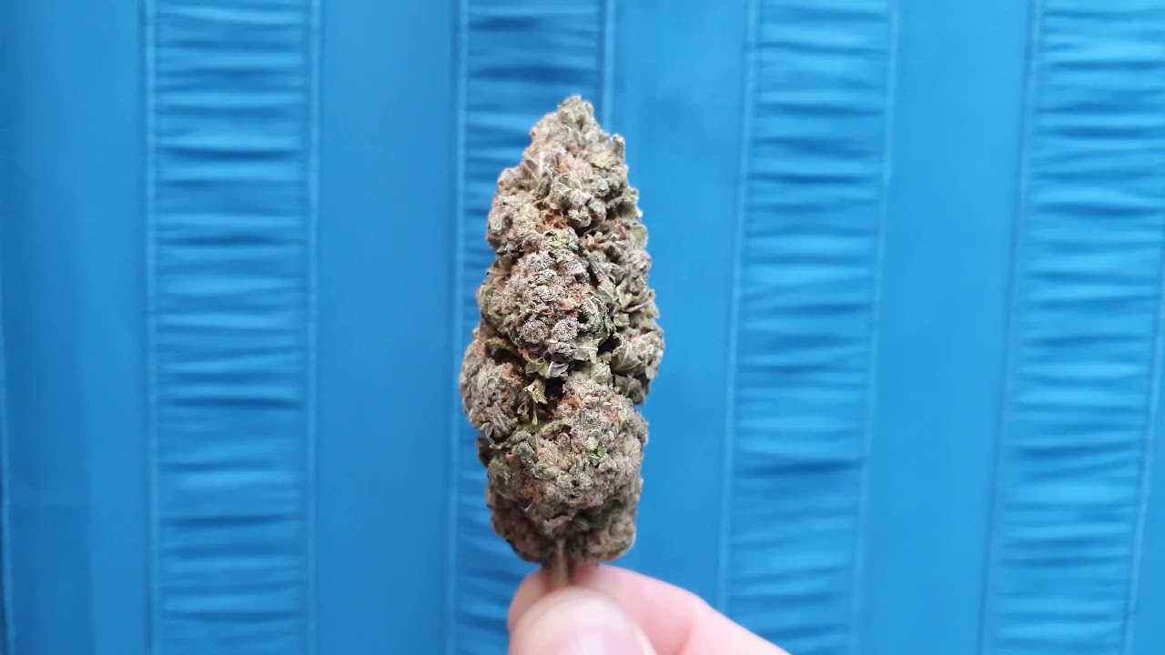 The Dispensary CBD - Gorilla Glue CBD Flower Showcase