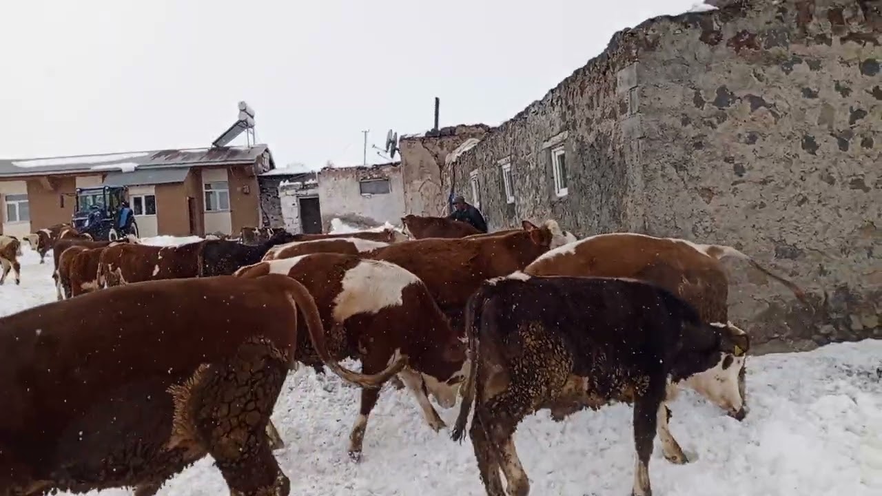 28 Şubat 2026
