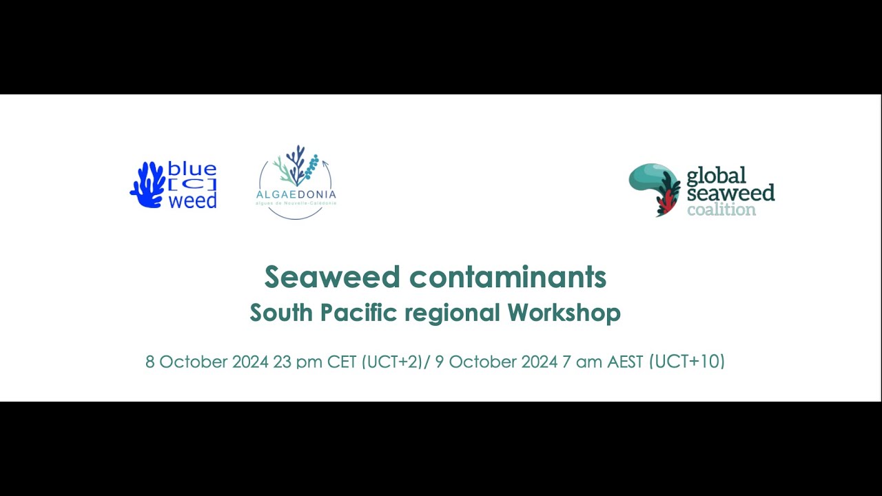 Seaweed contaminants : South Pacific regional workshop