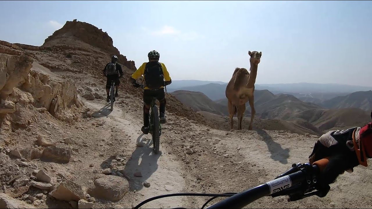 דרך הסוכר באופניים