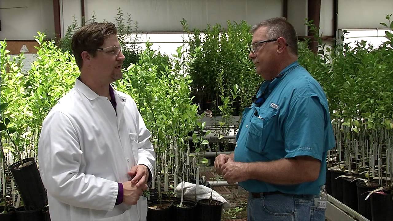 Science Quest: Citrus Farming