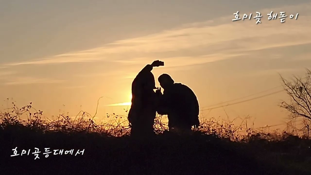 병오년  해돋이