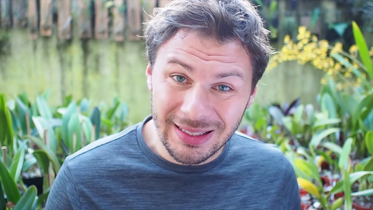 Teil 3 - Das grosse Orchideen Frage & Antwort Video