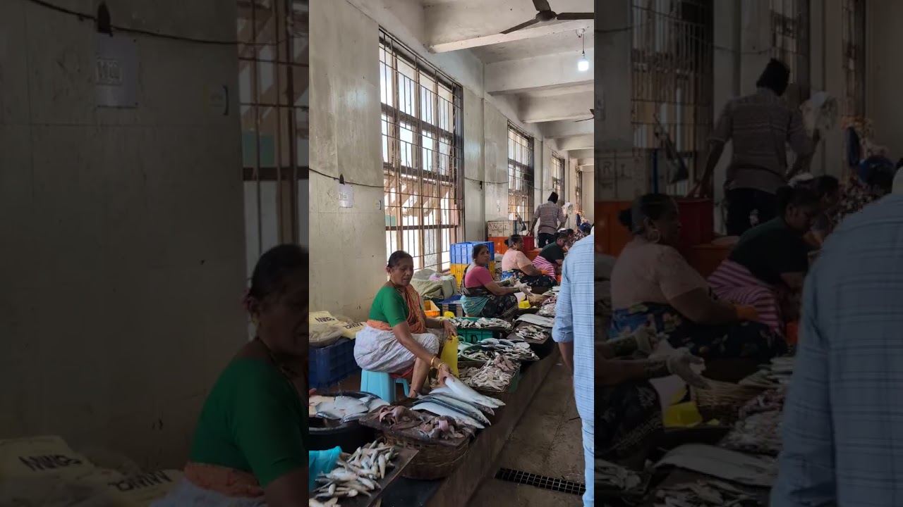 Fresh Fish Market in Goa, India: A Lively Glimpse into Local Life