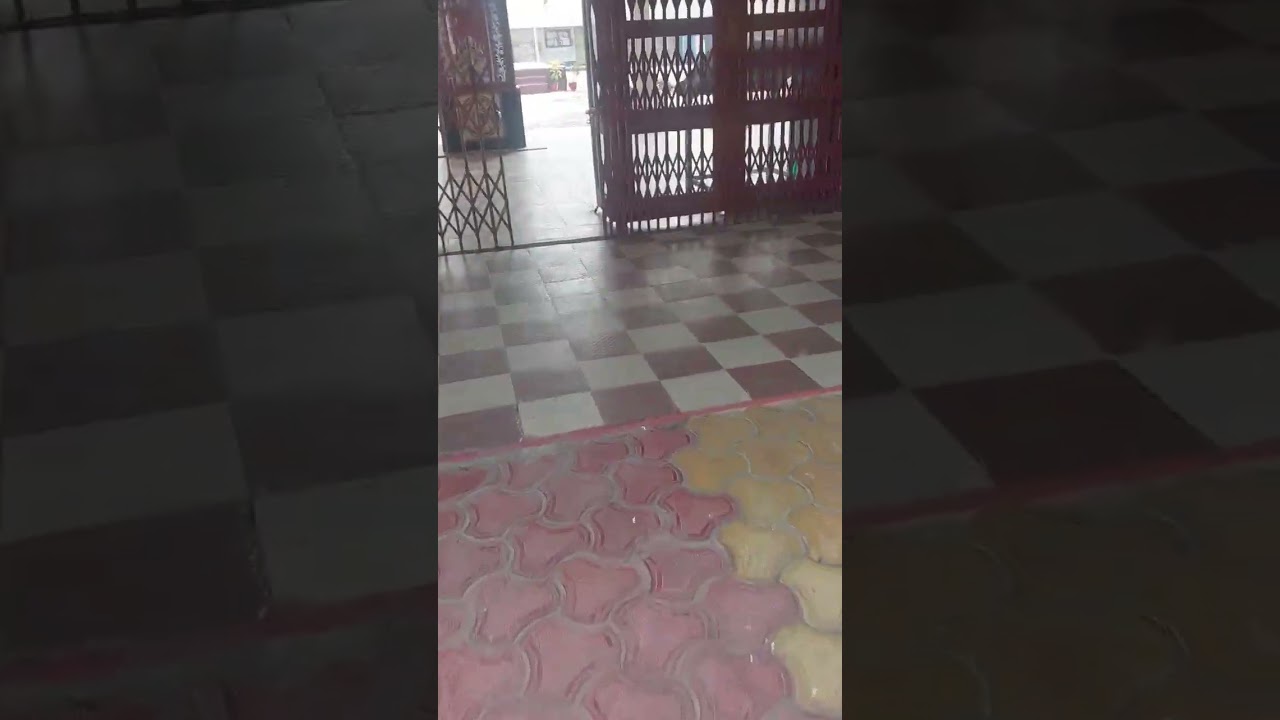 Kv School Korba NTPC. #Kvs#School #Students#Teachers # Physical Education