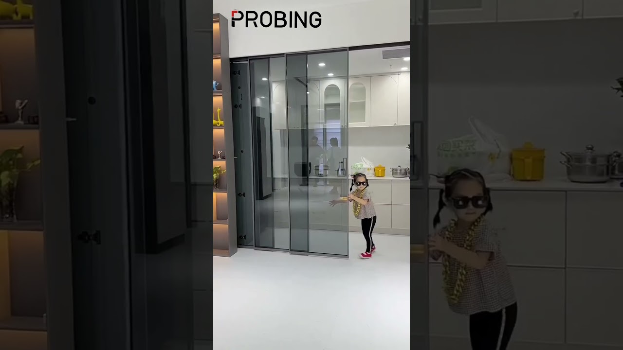 Partition sliding door with hidden design