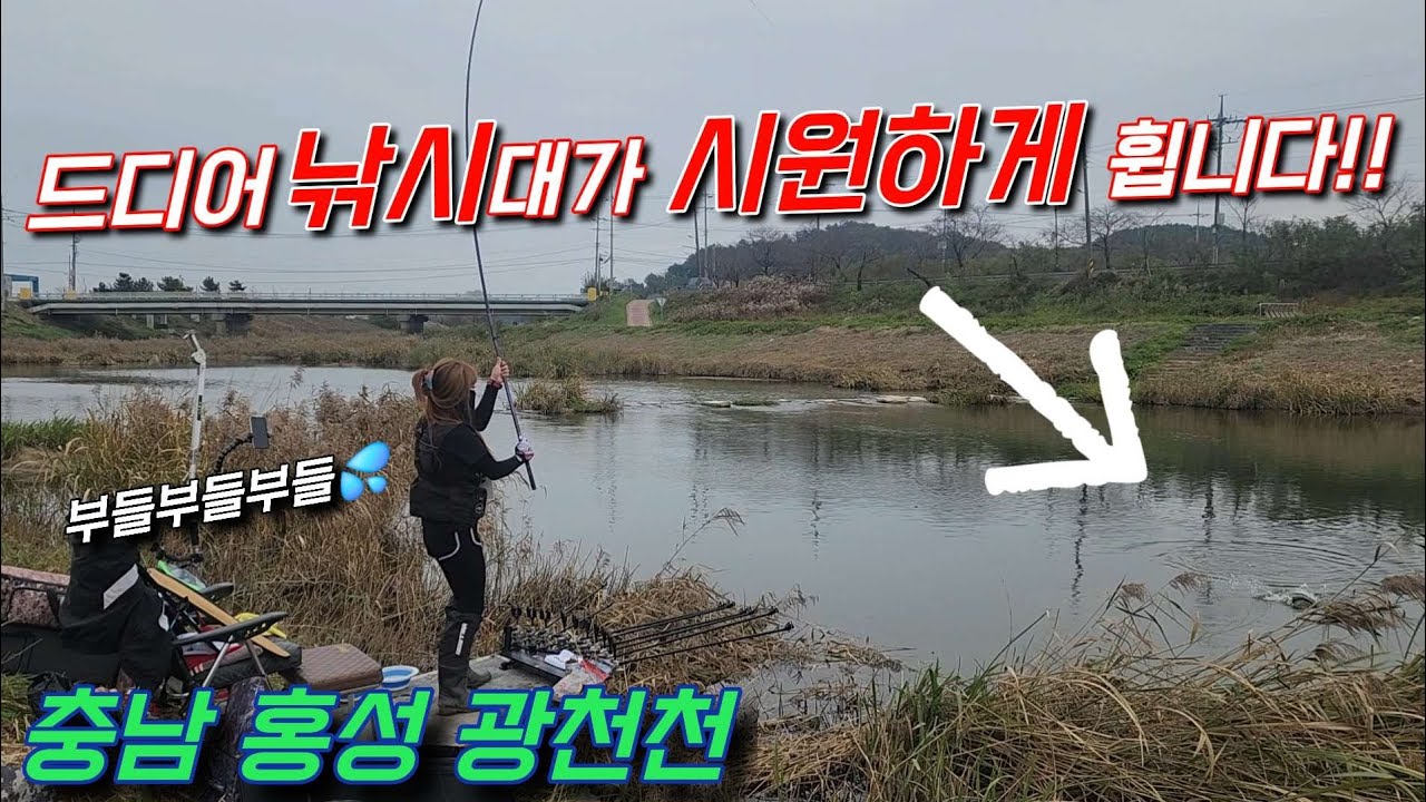 오예~~오랜만에 낚시대가 휘어집니다~~~~~!!!!!😎#fishing#붕어낚시#광천천
