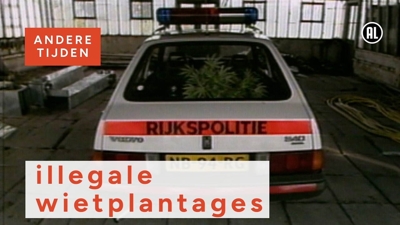 Illegale wietplantages in Nederland | ANDERE TIJDEN
