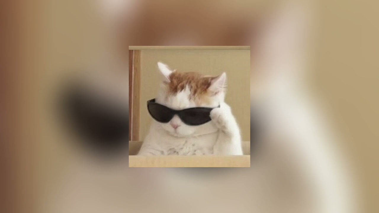 The Show Must Go On by Queen [sped up]