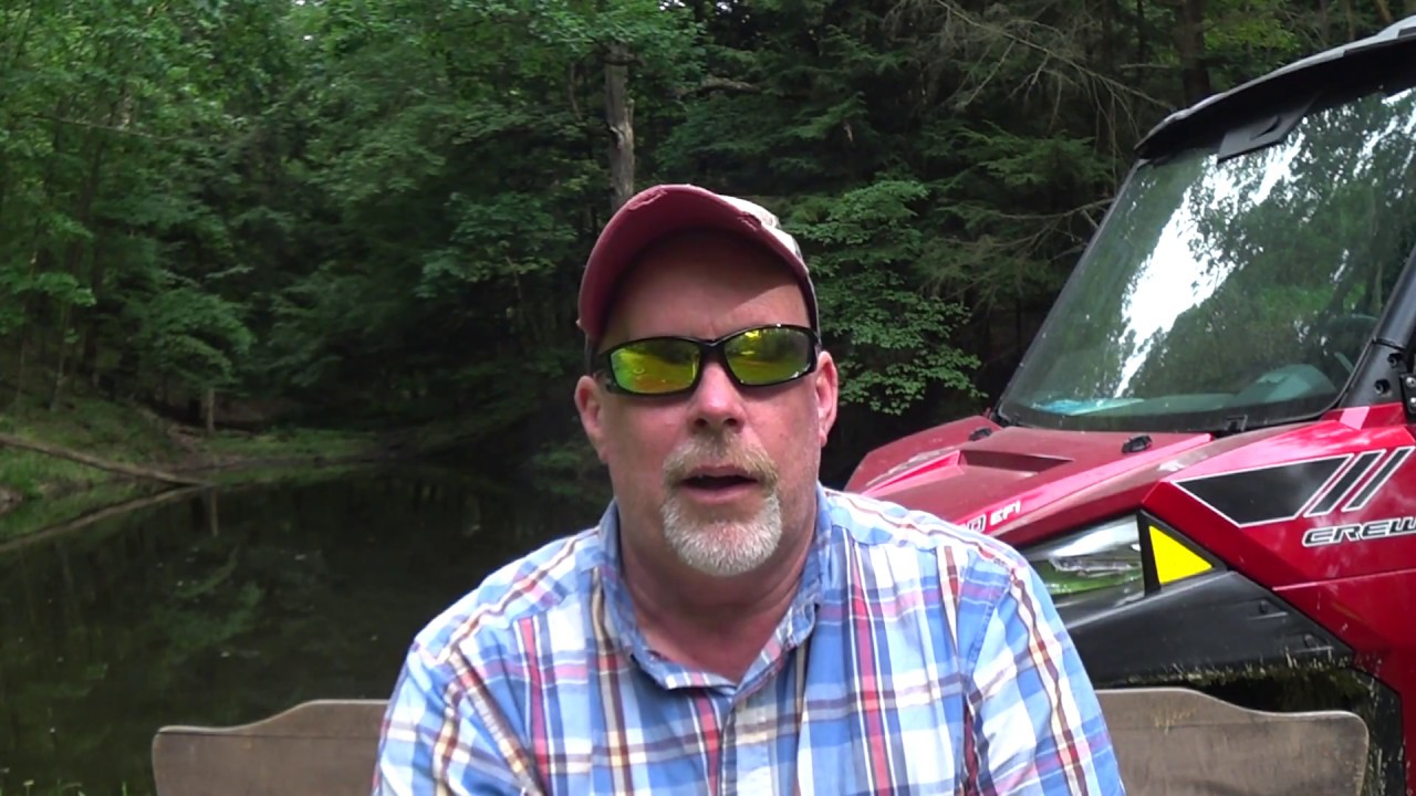 #36 Pros and Cons of Buying Land and a screaming fox!
