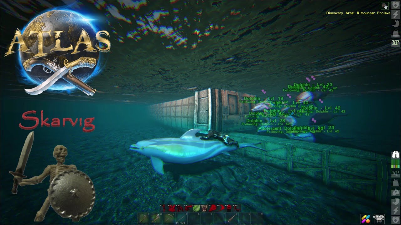 Breeding Dolphins - Atlas