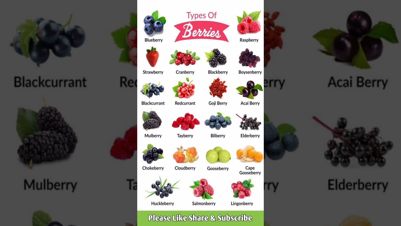 Type of Berries English Vocabulary with Pictures 🇬🇧🇺🇲