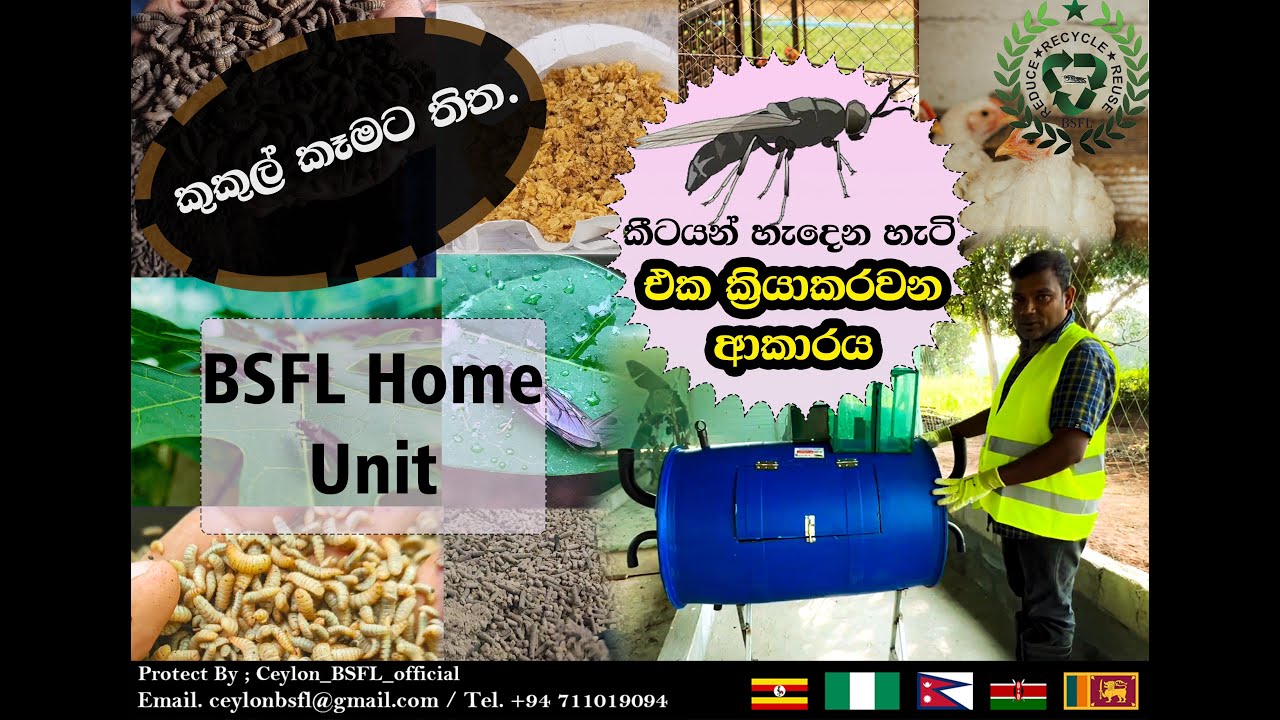 BSFL Home Unit | Unit එක ක්‍රියාකරවන ආකාරය | කීටයන් හැදෙන හැටි