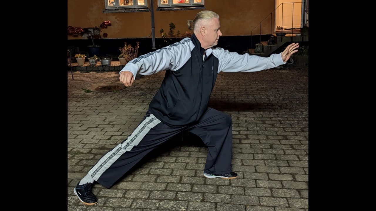 Yang Tai Chi Brush knee static drill for beginners Sifu Damon Bramich