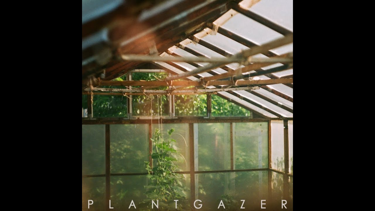 Show Me A Dinosaur &ndash; Plantgazer (Full album, 2020)