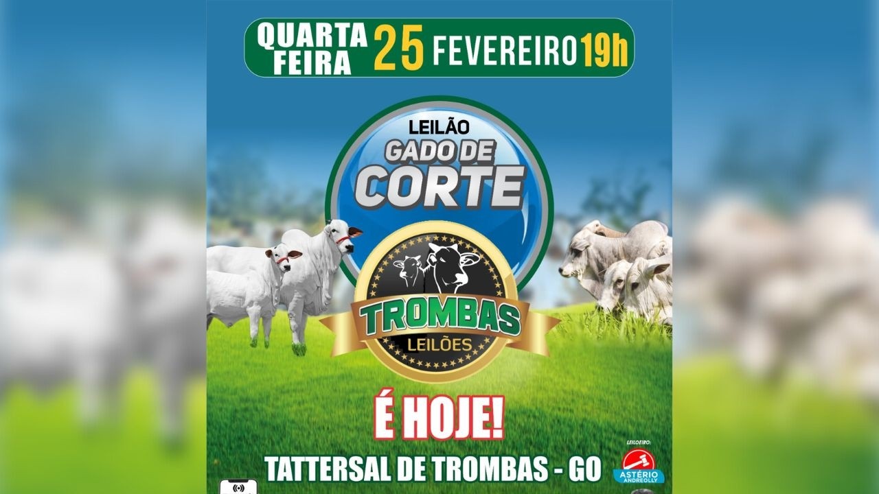 LEILÃO DE GADO DE CORTE TROMBAS LEILÕES - TROMBAS GOIAS  - 25/ 02/ 2026