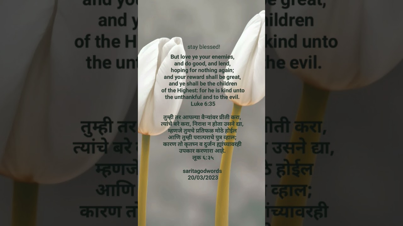 Love your Enemies🔸️वै-यावर  प्रिती करा🔸️ #marathisermon #marathichristiansong #theblessings #sermon