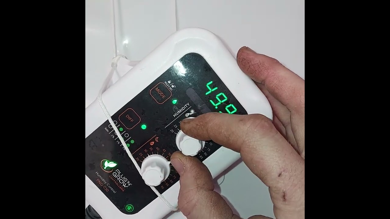 Chemdawg 4 Recirculating Deep Water Culture