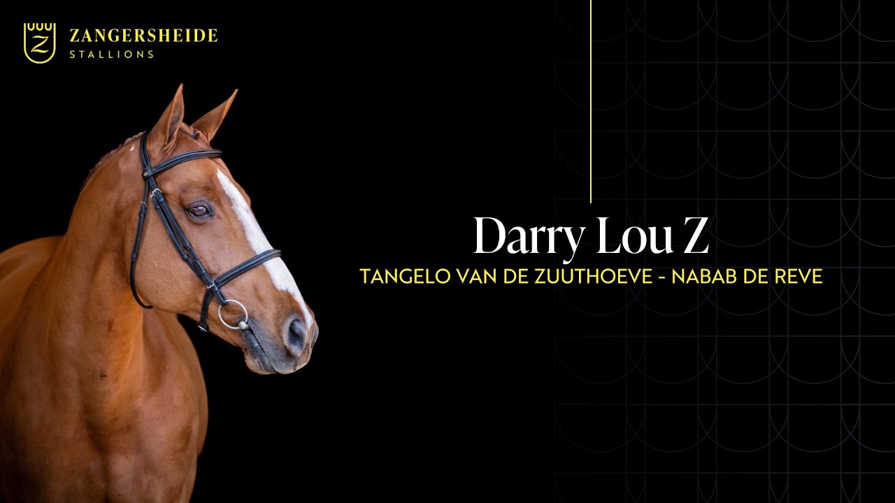 Darry Lou Z - Stallion Presentation 2025 ENG