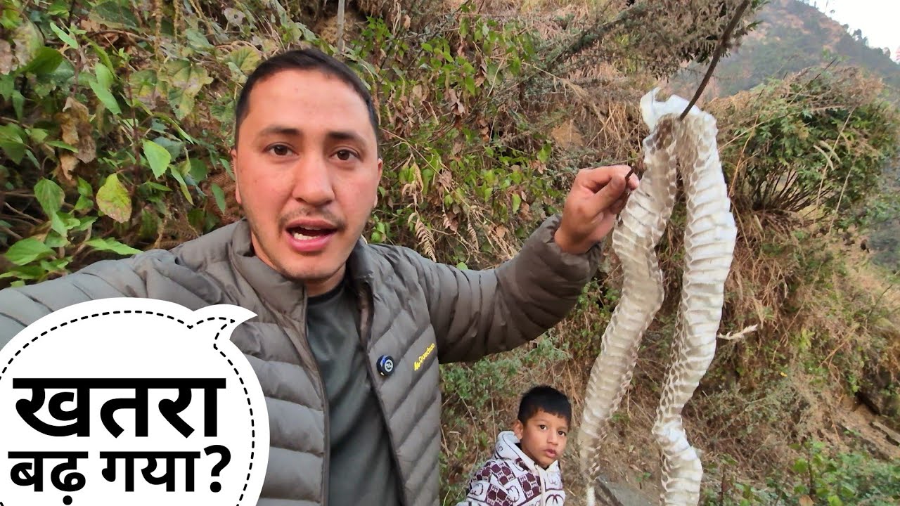 घर के पास में इतनी बड़ी सांप की खाल मिल गई || Pahadi Lifestyle || Vlog || Cool Pahadi