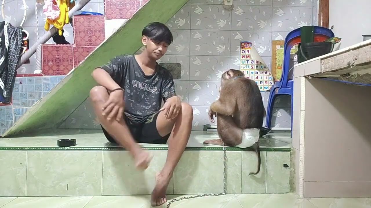 Beruk Zero dan Ayah Baim‼️Keluh kesah keepers kepada anabul nya 🤦🏽😂