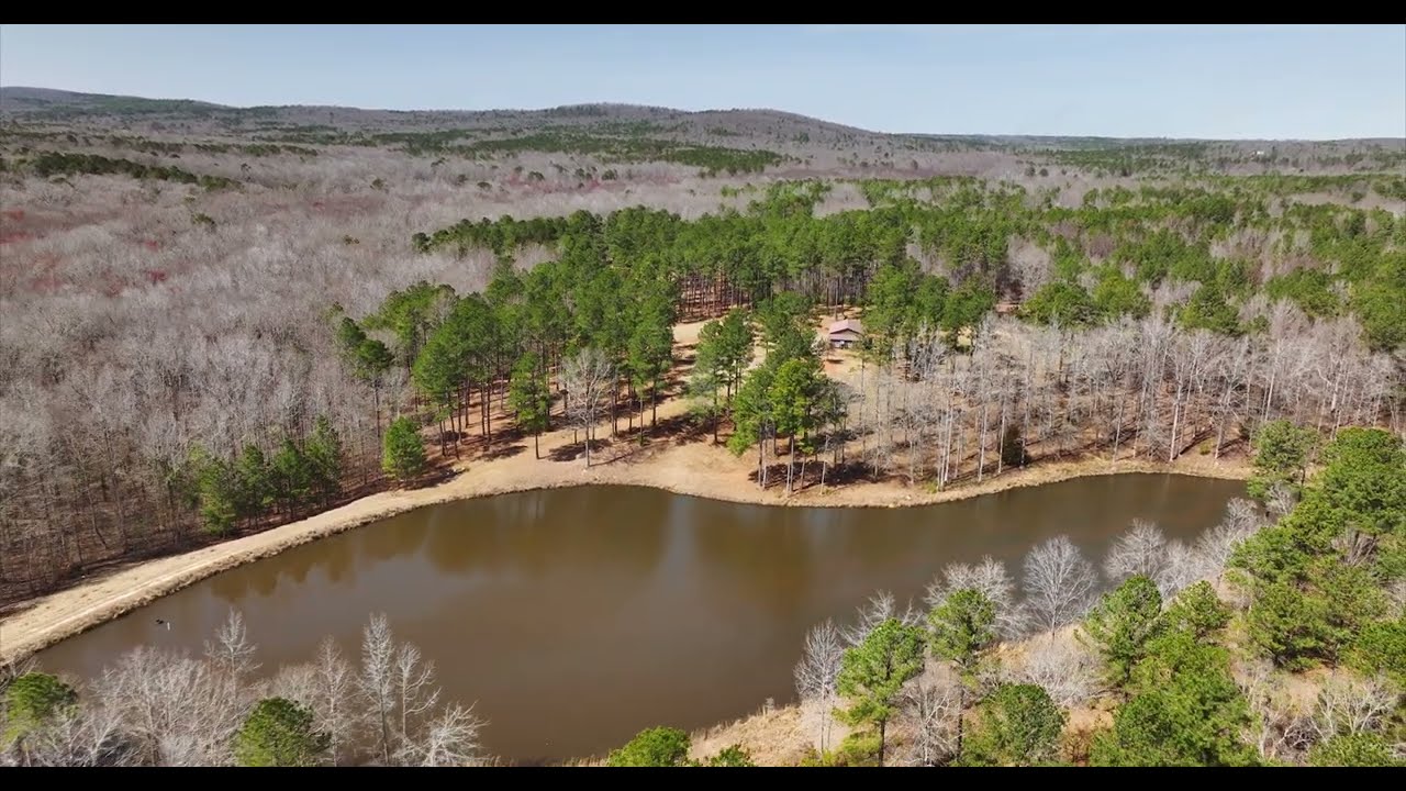 Potato Creek Hunting Plantation | 136.23 Acres | Pike County, GA | LandMart.com