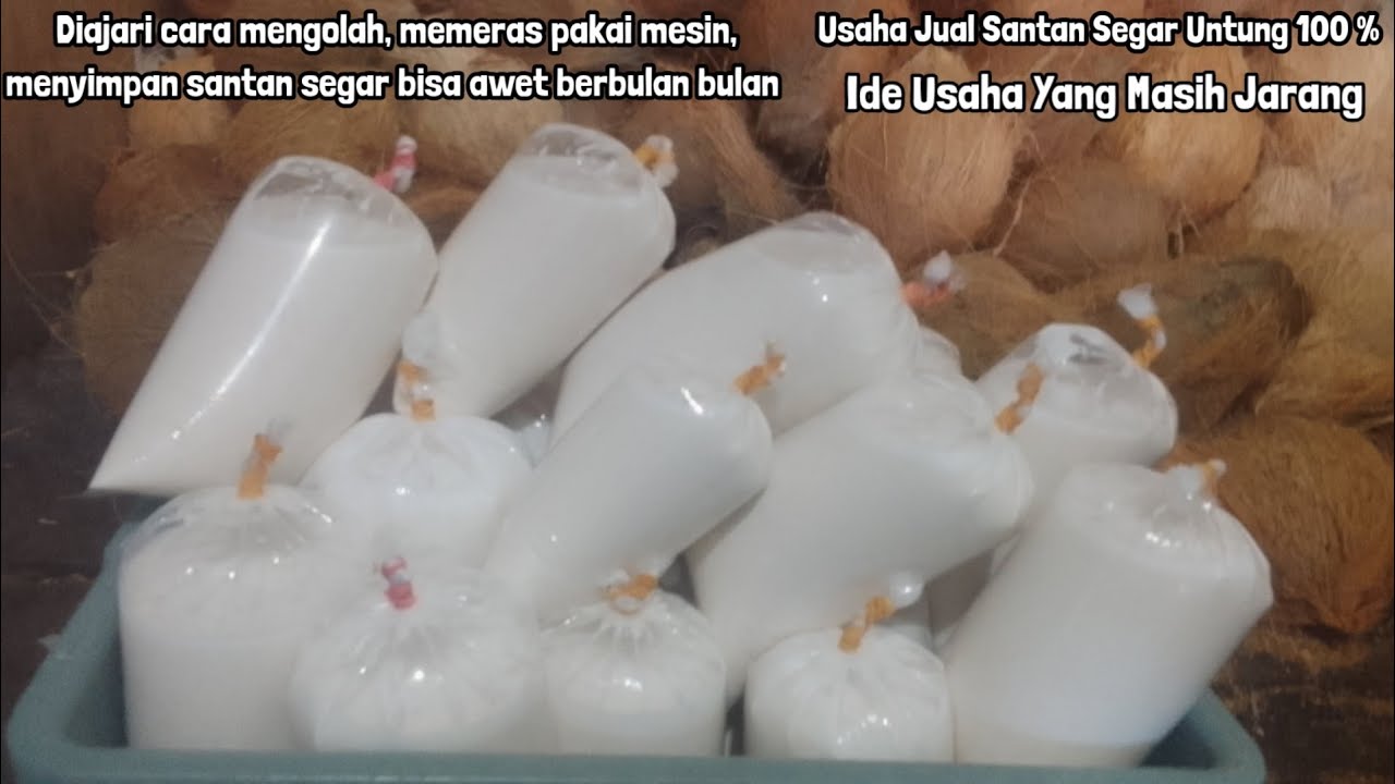Cara Mengolah Santan Segar bisa Awet Berbulan Bulan, Ide Usaha yang Masih Jarang Untungnya Fantastis