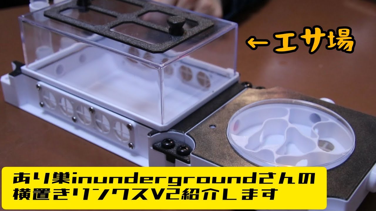 あり巣inundergroundさんの横置きリンクスV2紹介します！