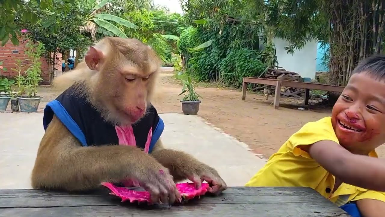 SokYaa and Abii SHARE Dragon Fruit - SWEETEST FRIENDSHIP MOMENT!