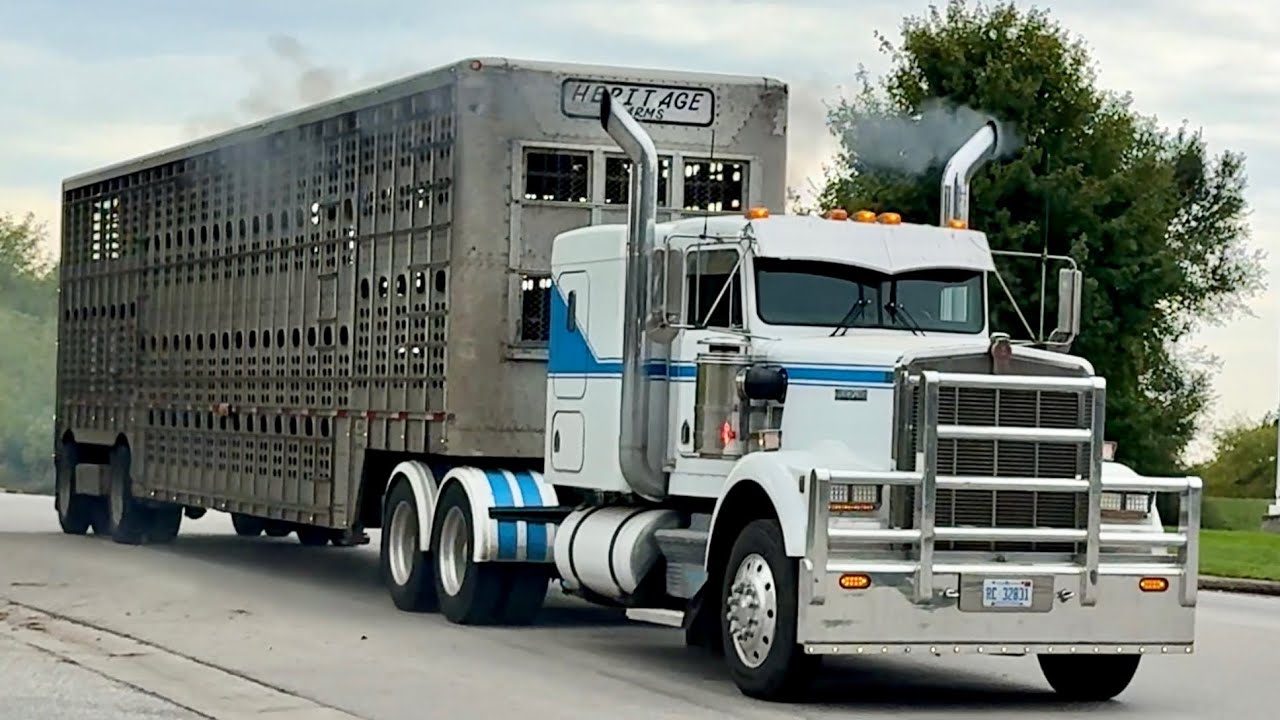 Truck Spotting at D Avenue - Vol. 25 (Kalamazoo, Michigan)