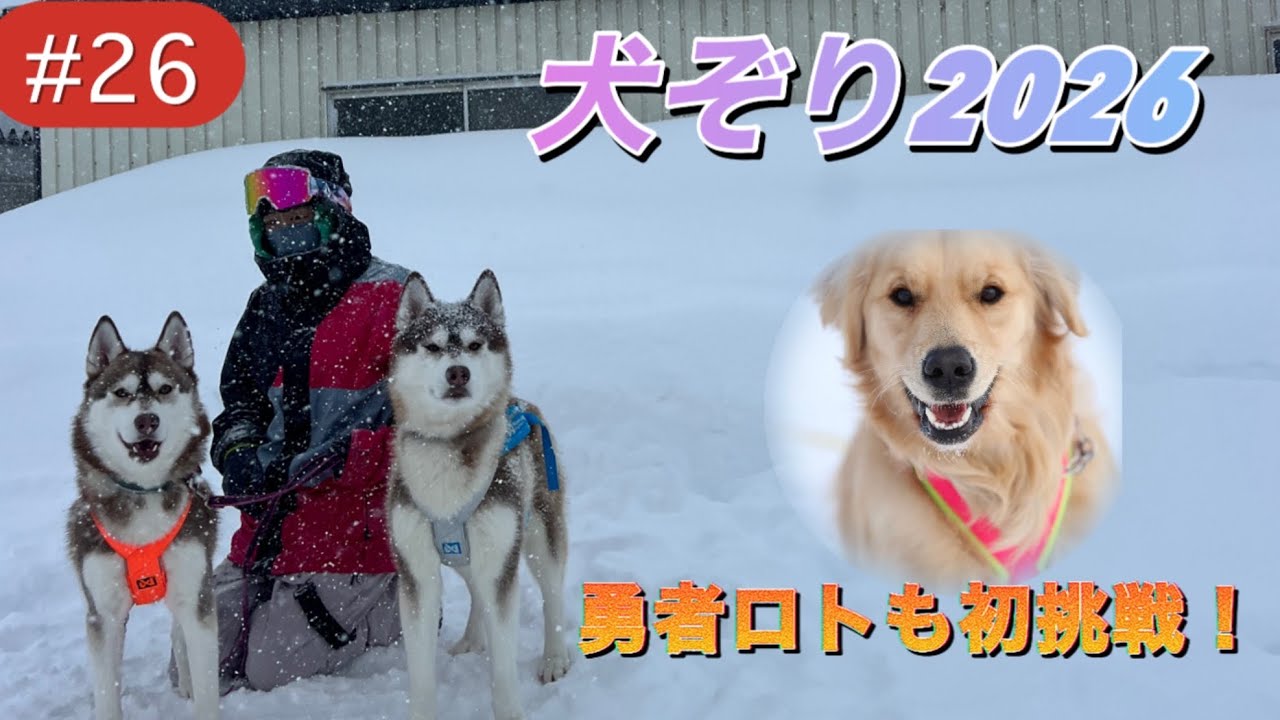 #26  勇者ロト北海道初上陸！ゴルだってソリひけるもん。テオノンノは大雪警報が出てたって構わずソリ練するゾ